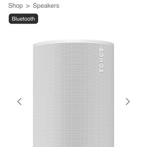 Sonos Gray Portable Speaker